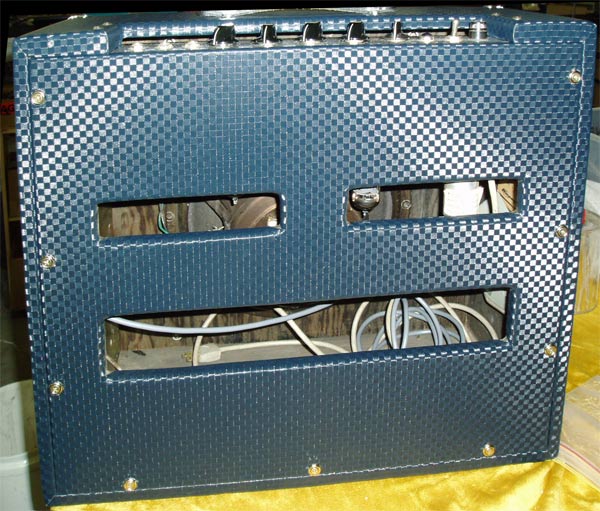 Ampeg back